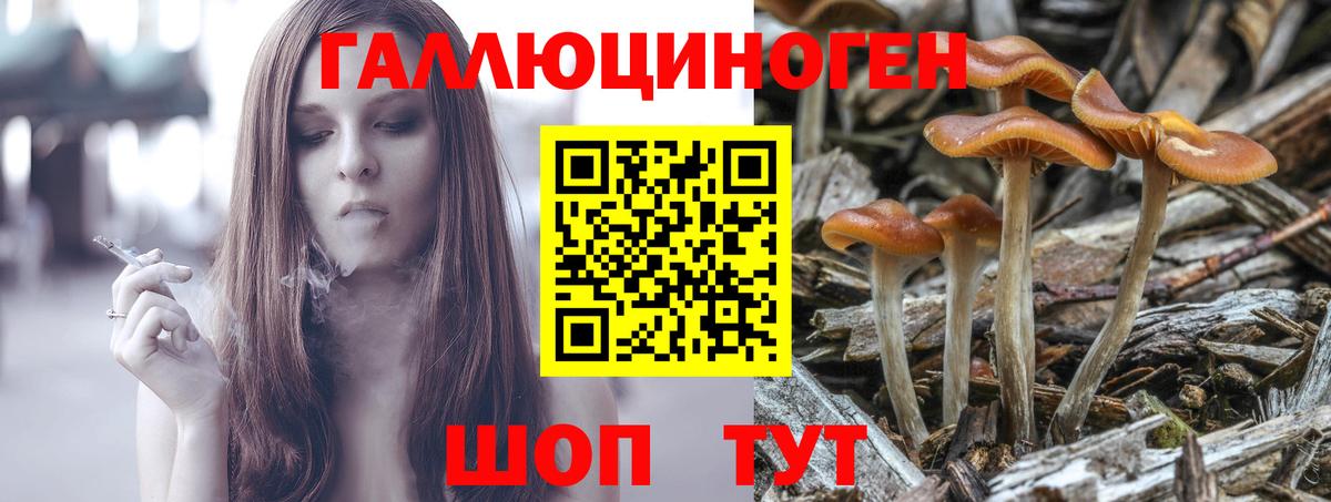 Новоалтайск  Галлюциногенные грибы мухоморы  Вход с VPN 