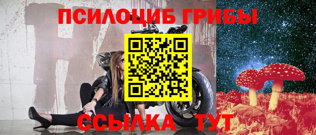 Галлюциногенные грибы Cubensis Новоалтайск